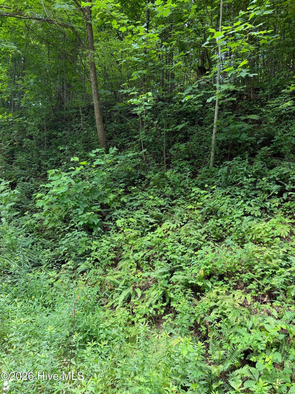 Photo of 4 Outlook Road, Murphy, NC 28906 (MLS # 100589828)