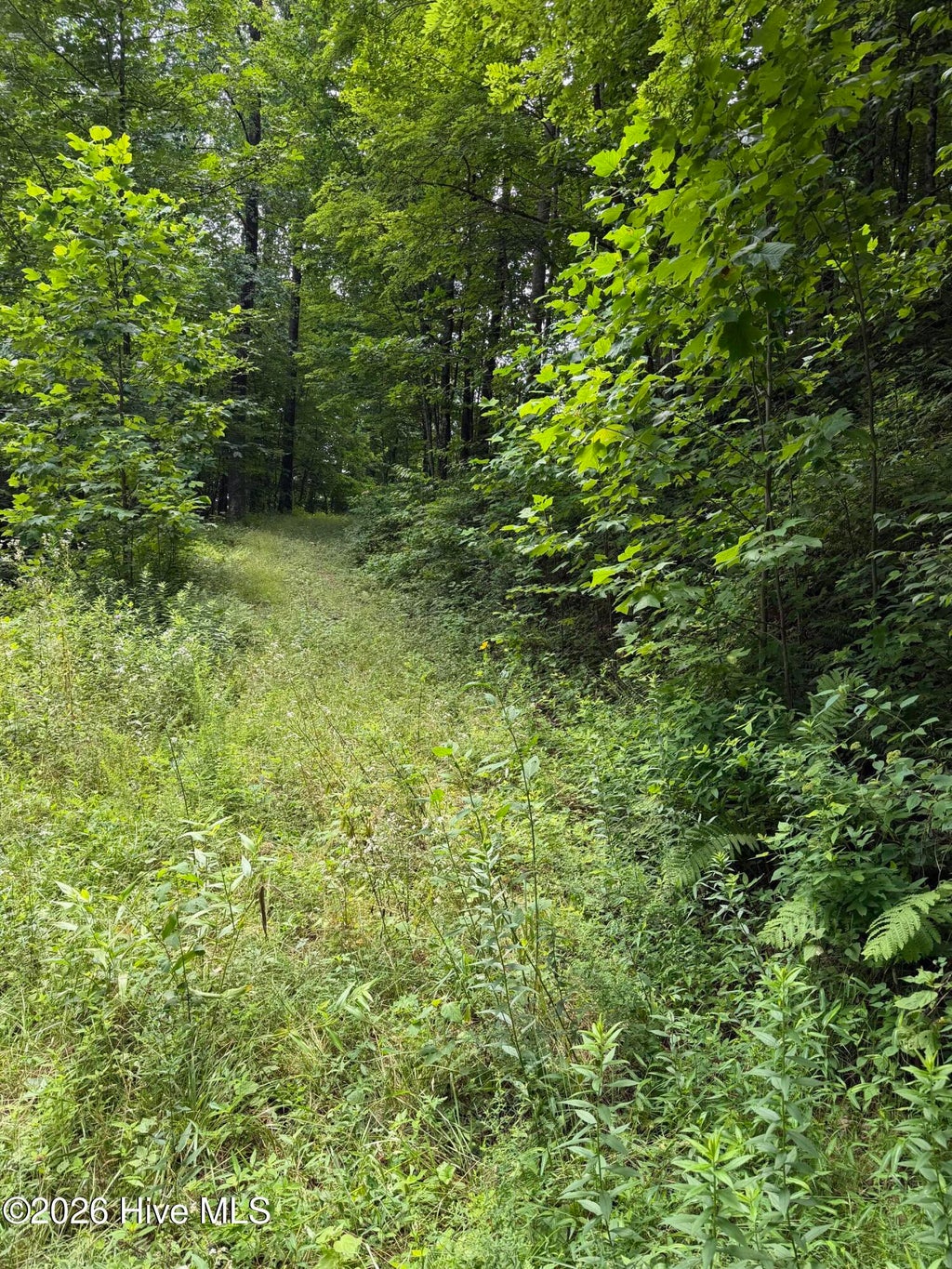 Photo of 4 Outlook Road, Murphy, NC 28906 (MLS # 100589828)