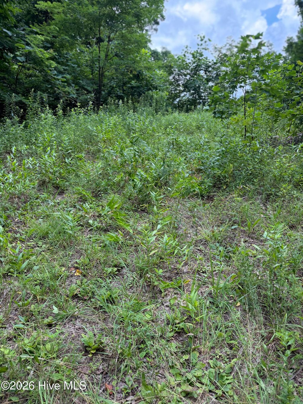 Photo of 4 Outlook Road, Murphy, NC 28906 (MLS # 100589828)
