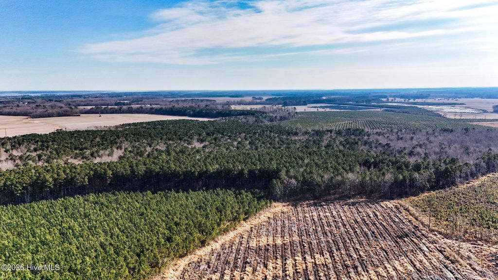 Photo of 10 Ballahack Road, Hertford, NC 27944 (MLS # 100556278)