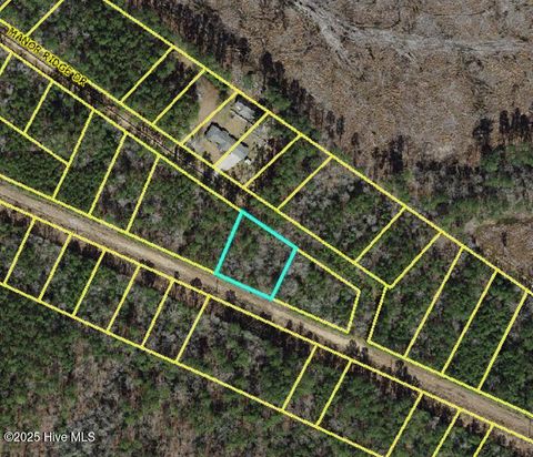 Vacant Land For Sale - LOT 36 Fontana Lane<br/> Bladen County, Clarkton, NC 28433