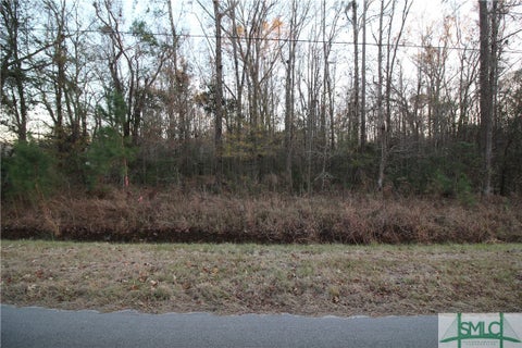 Vacant Land For Sale - 366 Big Estates Circle<br/> Beaufort, SC 29945