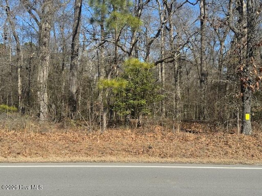 Photo of 5444 River Road, Vanceboro, NC 28586 (MLS # 100551782)