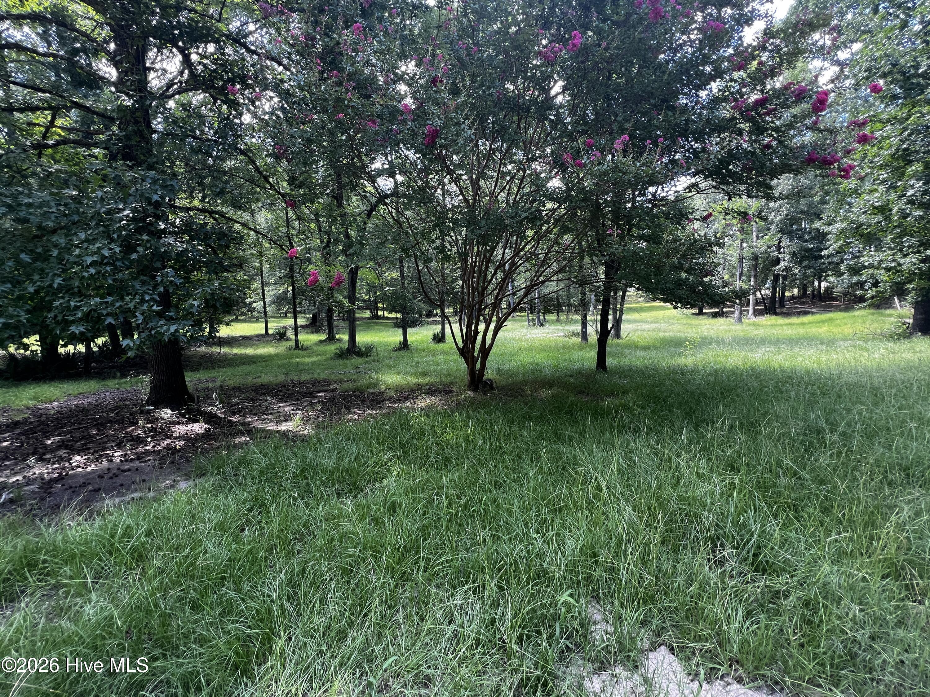 1045 Fortson Road