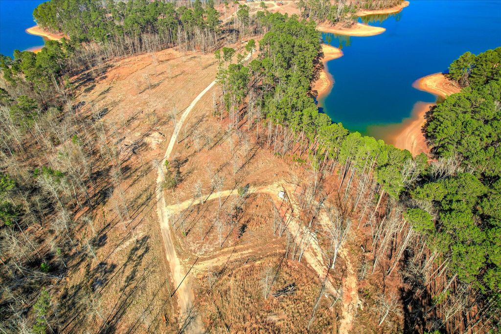 Photo of 435 Abundance Way, Appling, GA 30802 (MLS # 551134)