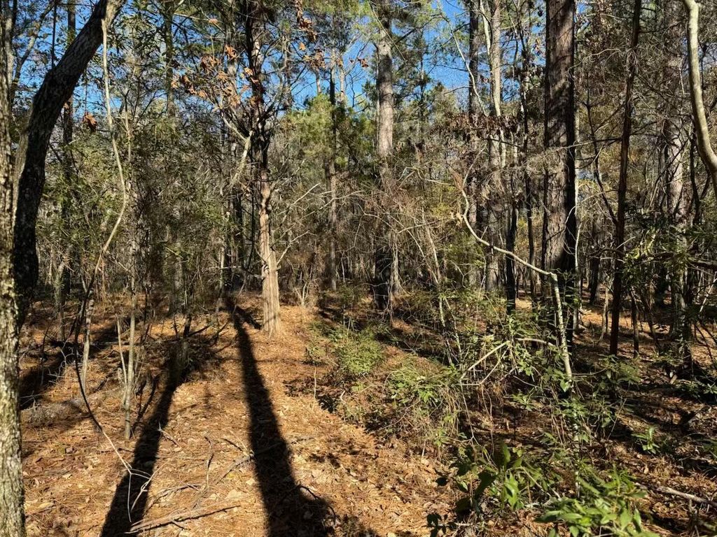 Photo of 0 Pineywoods Road, Lincolnton, GA 30817 (MLS # 550247)