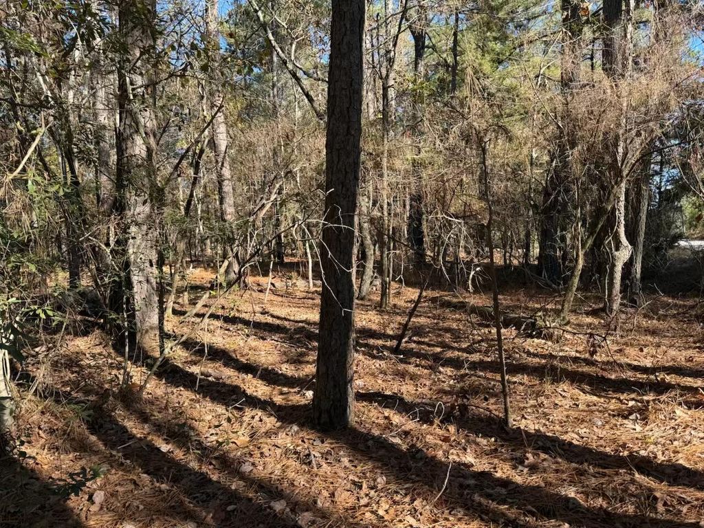Photo of 0 Pineywoods Road, Lincolnton, GA 30817 (MLS # 550247)