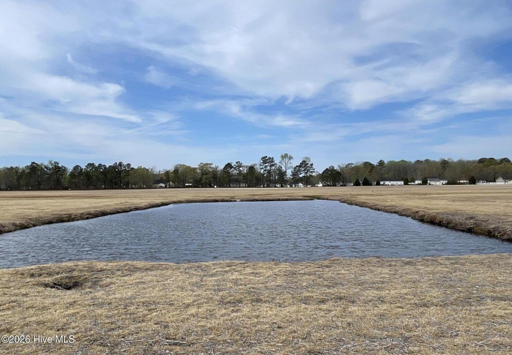 Photo of 0 Sr 1311 Off Magnolia School Road, Washington, NC 27889 (MLS # 100569826)