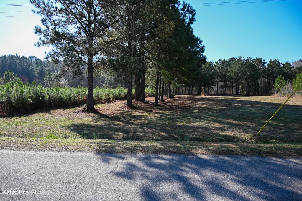 Photo of 908 W 6th Street, Tabor City, NC 28463 (MLS # 100560038)