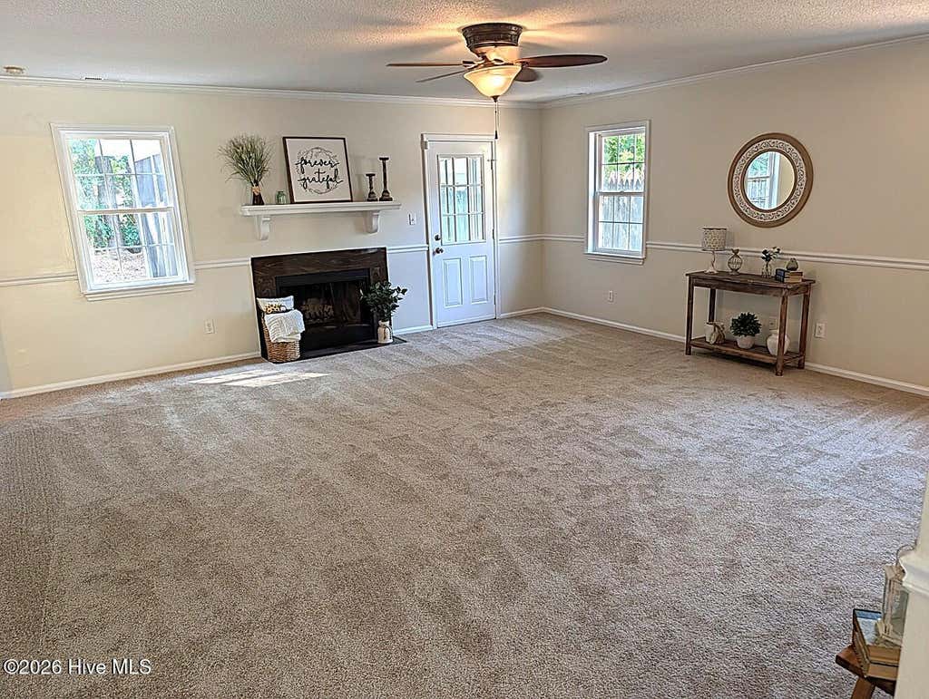 Photo of 1024 Spring Villa Drive, Jacksonville, NC 28540 (MLS # 100581663)