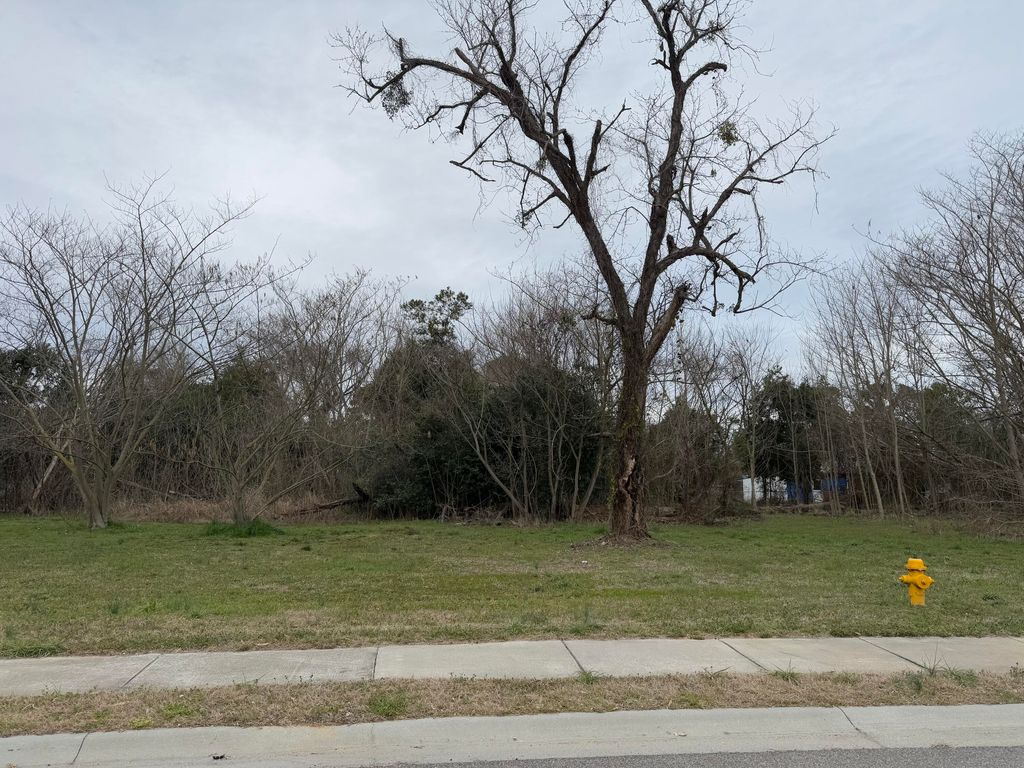 Photo of 156 Mcelmurray Dr, Augusta, GA 30901 (MLS # 554014)