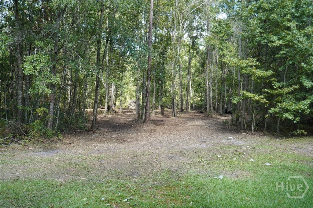 Photo of 0 Williams Road, Guyton, GA 31312 (MLS # SA363571)