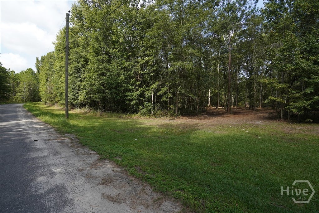 Photo of 0 Williams Road, Guyton, GA 31312 (MLS # SA363571)