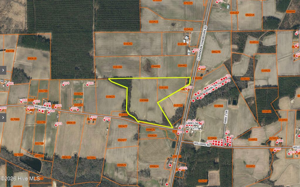 Photo of 0 Clarendon-Chadbourn Road, Clarendon, NC 28432 (MLS # 100575390)