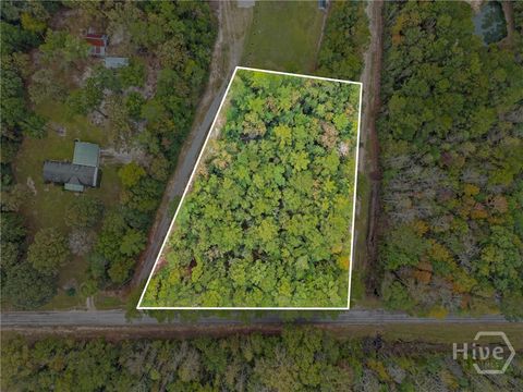 Vacant Land For Sale - Clyo Shawnee Road<br/> Springfield, GA 31329