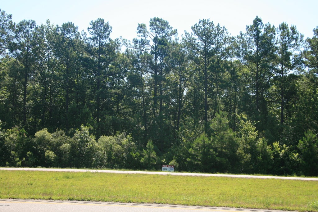 Photo of 6898 Ocean Highway E, Leland, NC 28451 (MLS # 100606556)