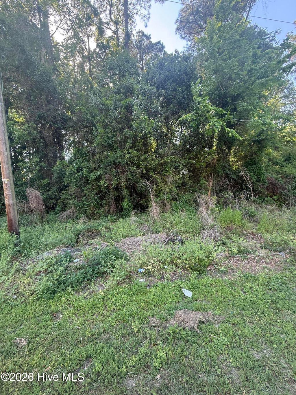 Photo of 412 S Thompson Street, Whiteville, NC 28472 (MLS # 100567336)