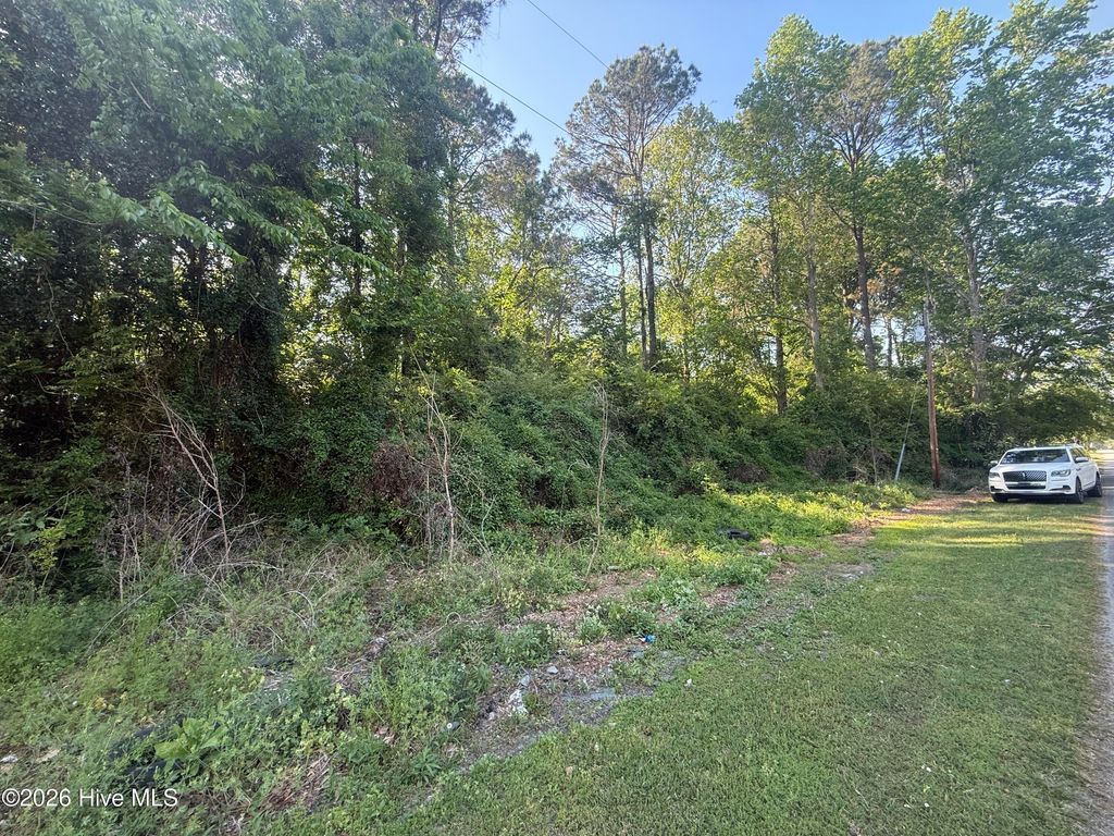 Photo of 412 S Thompson Street, Whiteville, NC 28472 (MLS # 100567336)
