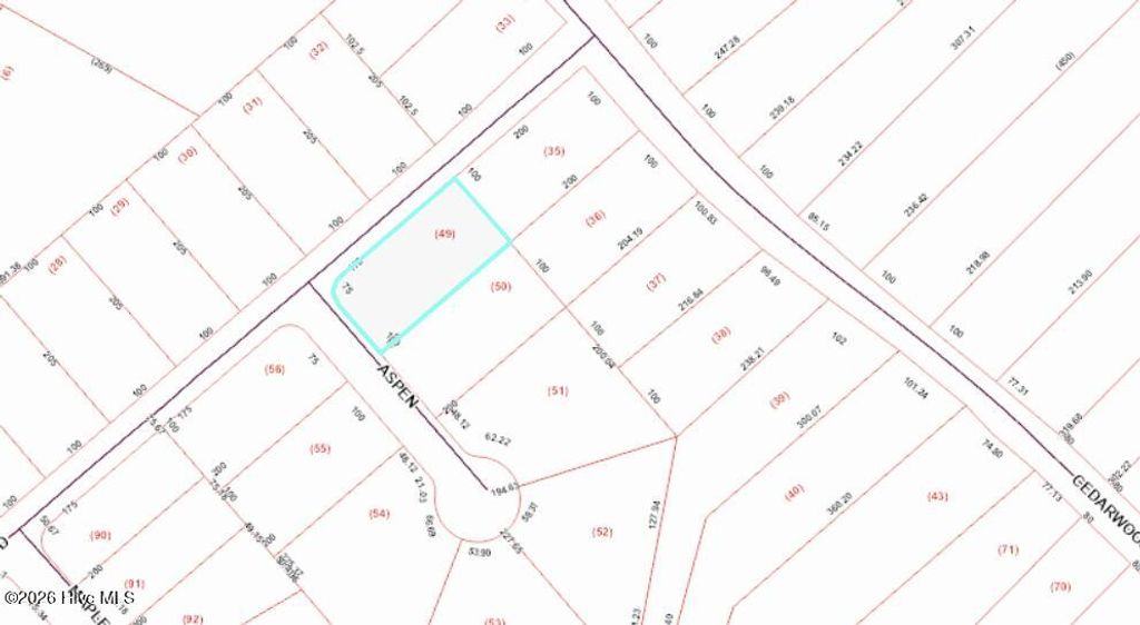 Photo of 101 Aspen Court, Havelock, NC 28532 (MLS # 100556957)