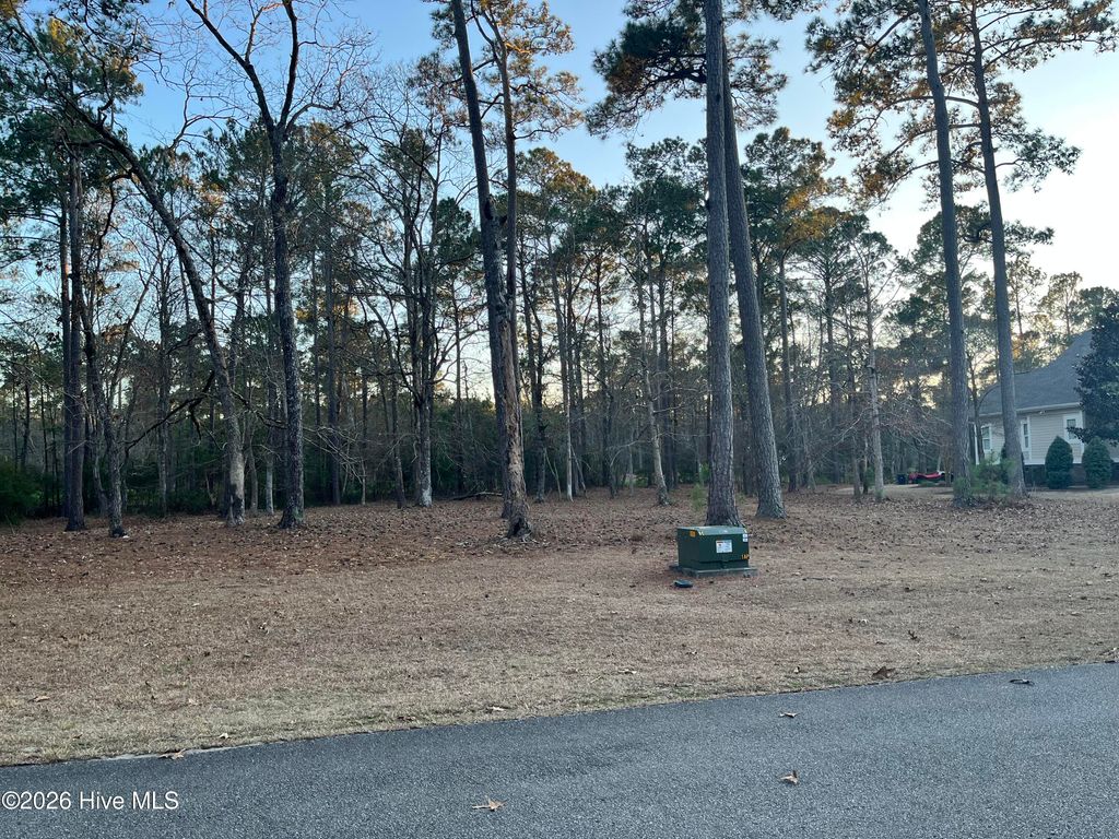 Photo of 822 Loblolly Drive SW, Shallotte, NC 28470 (MLS # 100550315)