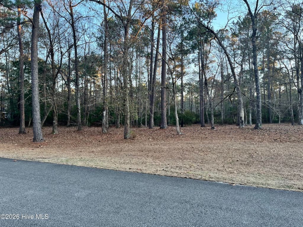 Photo of 822 Loblolly Drive SW, Shallotte, NC 28470 (MLS # 100550315)