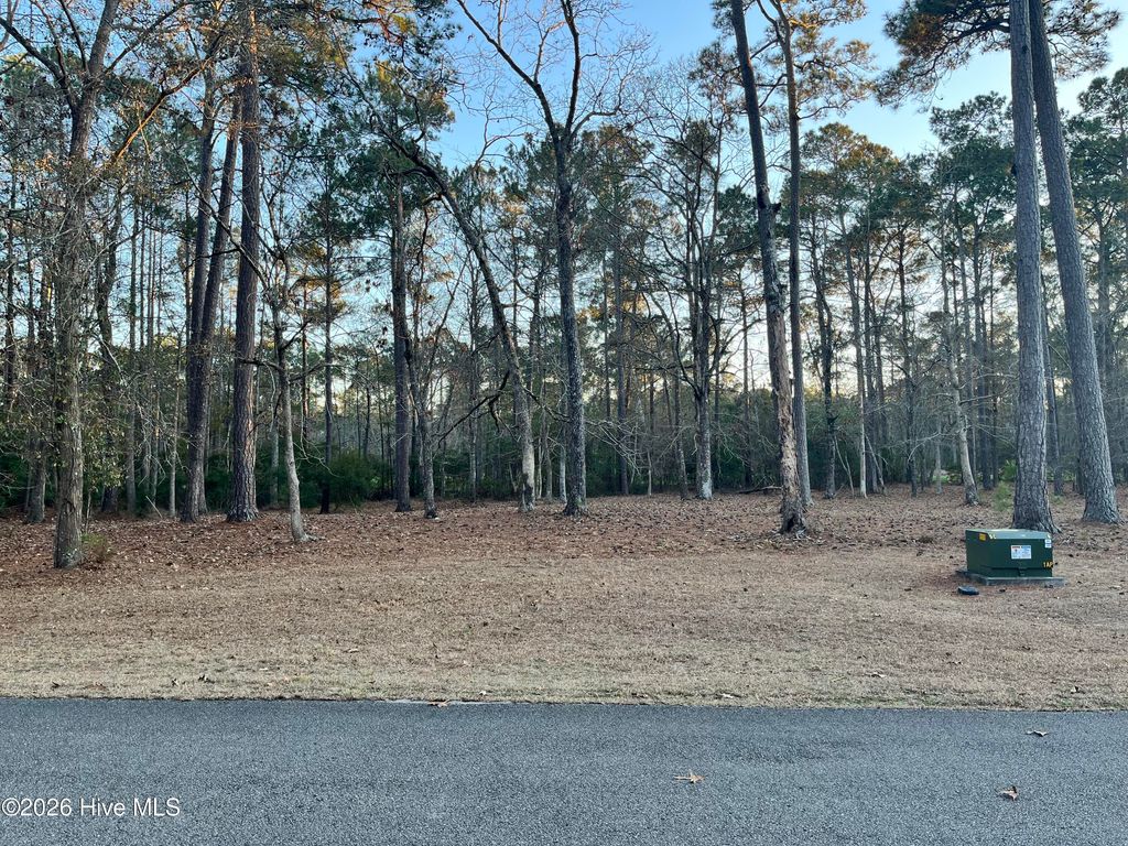 Photo of 822 Loblolly Drive SW, Shallotte, NC 28470 (MLS # 100550315)