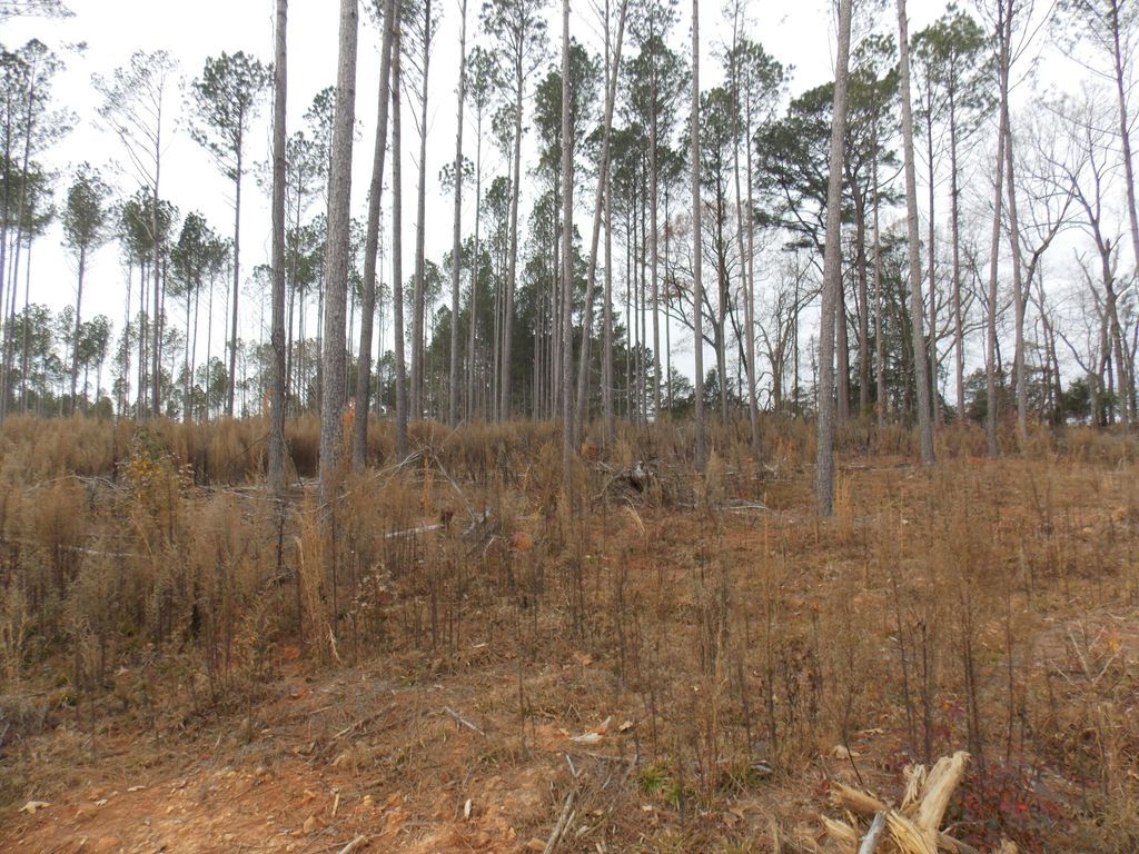 Photo of 2 E Mosley Road, Lincolnton, GA 30817 (MLS # 550351)