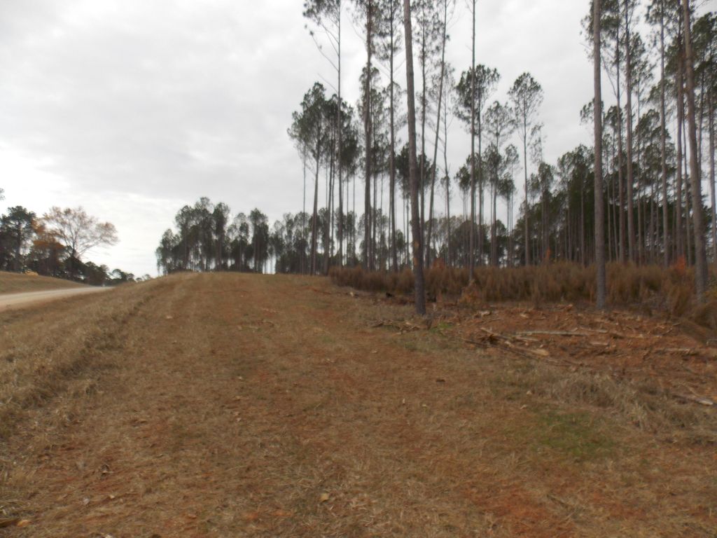 Photo of 2 E Mosley Road, Lincolnton, GA 30817 (MLS # 550351)