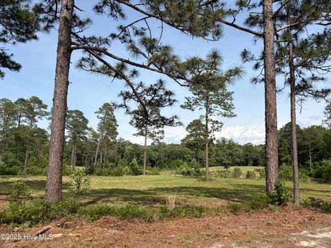 Vacant Land For Sale - 355 Fox Box Road<br/> Vass, NC 28394