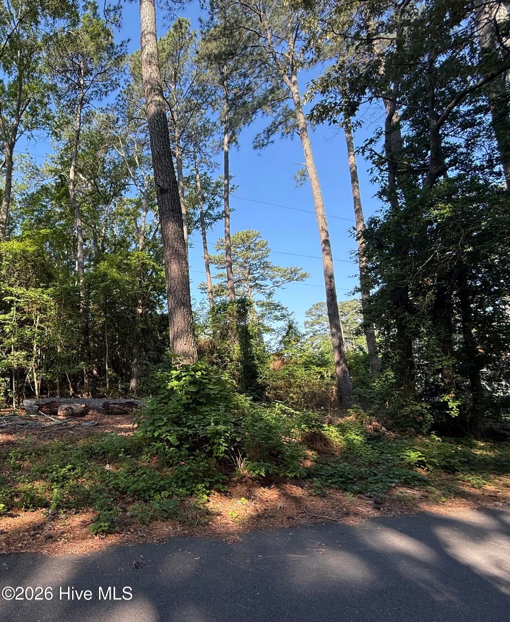 Photo of 108 Cheyenne Trail, Edenton, NC 27932 (MLS # 100574702)