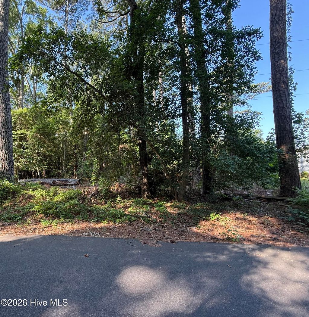 Photo of 108 Cheyenne Trail, Edenton, NC 27932 (MLS # 100574702)