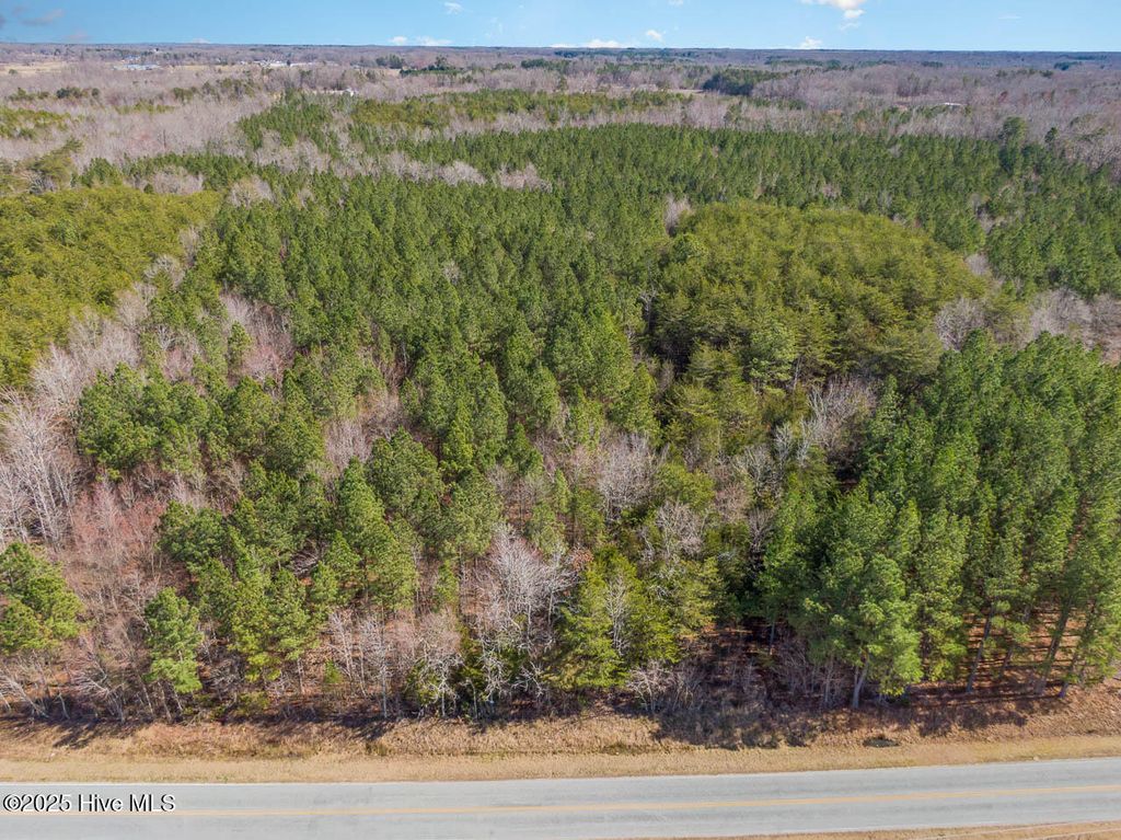 Photo of 7275 Atkins Road, Mebane, NC 27302 (MLS # 100547225)