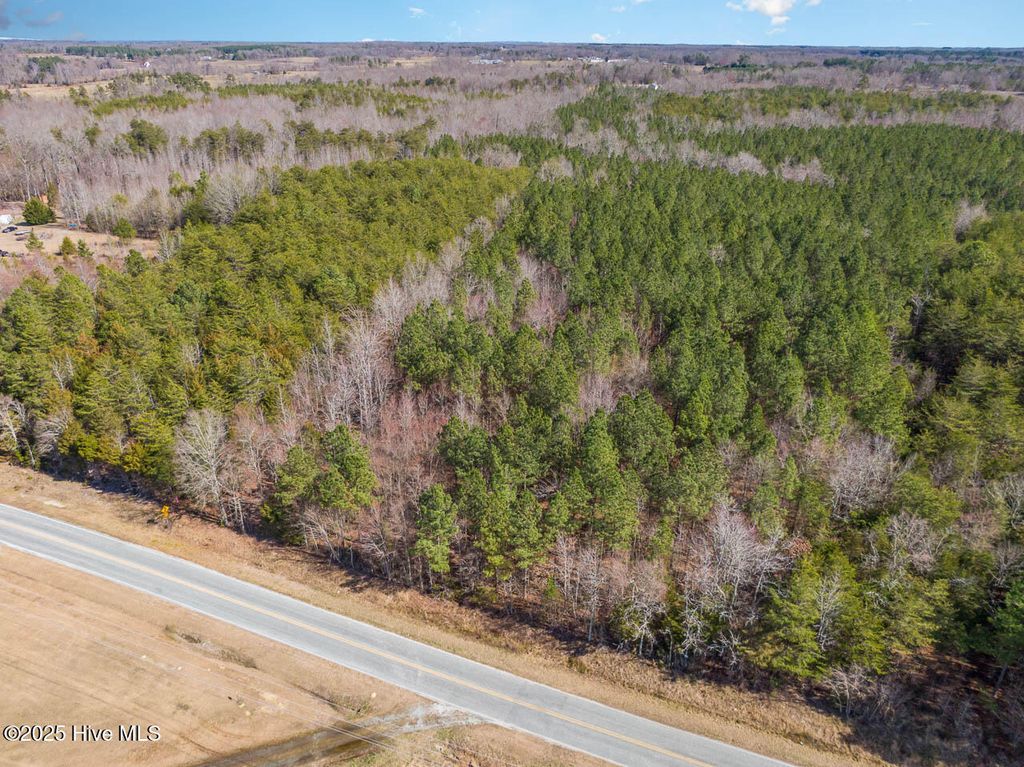 Photo of 7275 Atkins Road, Mebane, NC 27302 (MLS # 100547225)