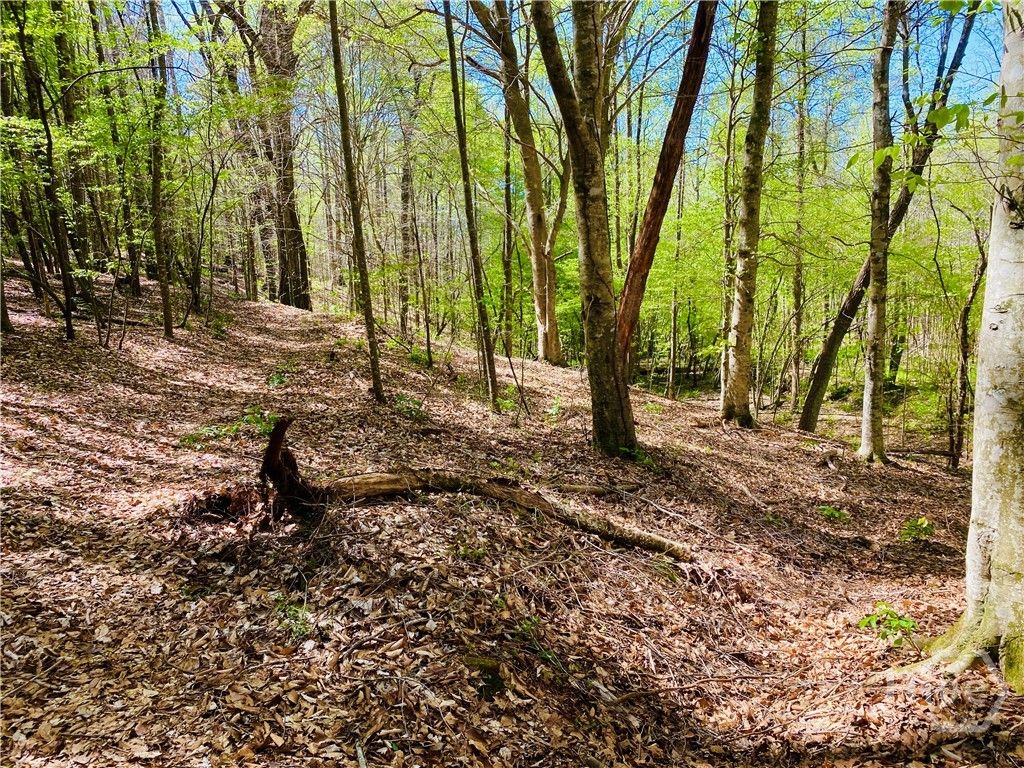 Photo of 2 Curry Falls Trail Road #2B, Athens, GA 30607 (MLS # CL335915)