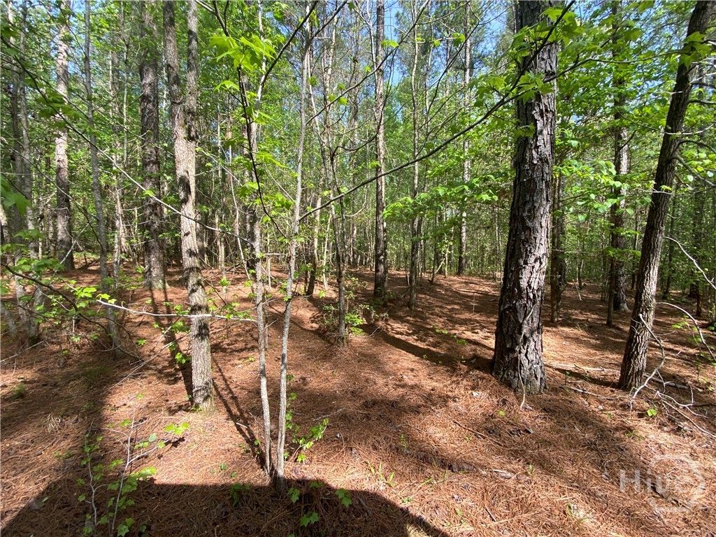 Photo of 2 Curry Falls Trail Road #2B, Athens, GA 30607 (MLS # CL335915)