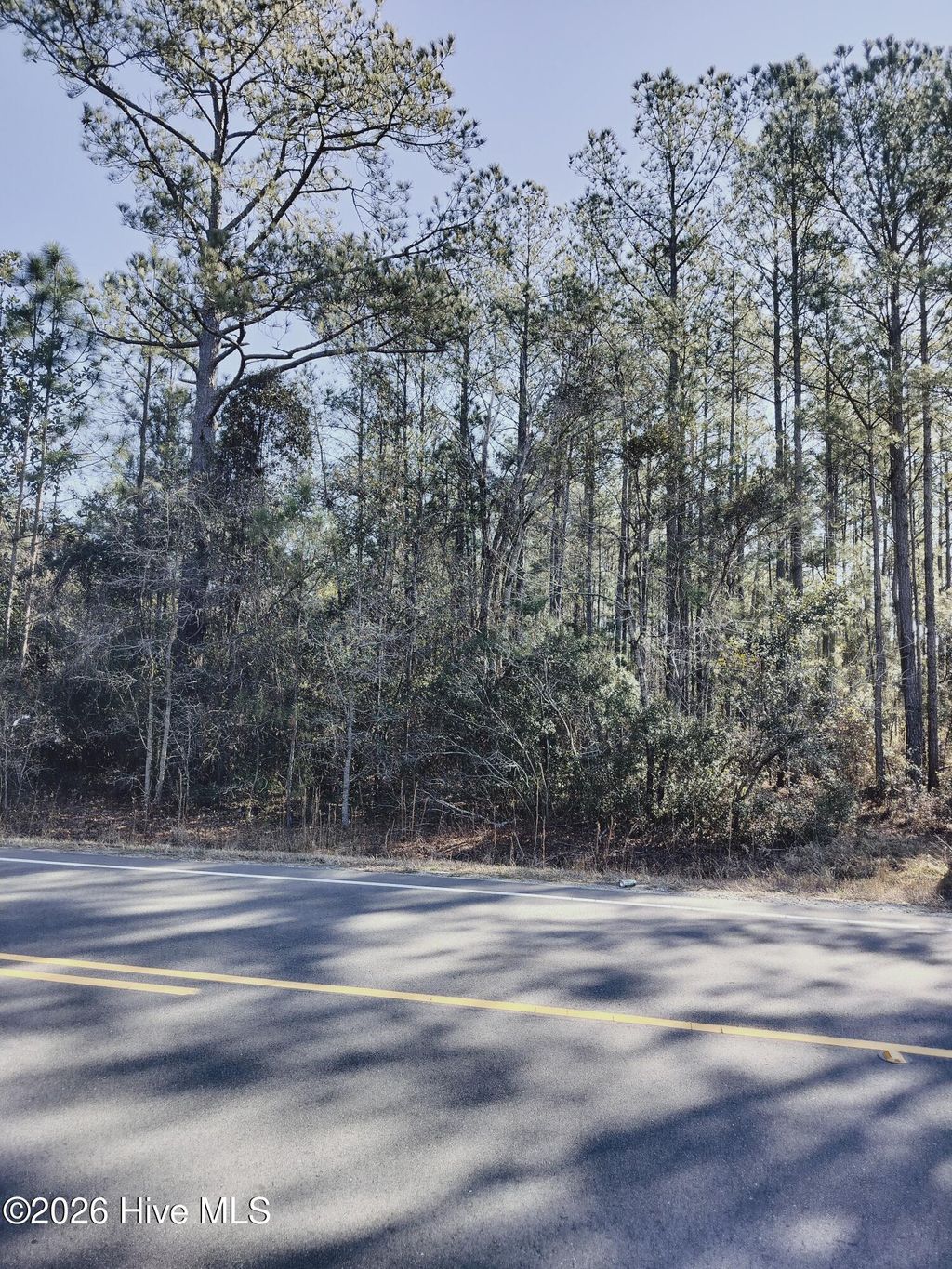 Photo of 0 Shaw Highway, Rocky Point, NC 28457 (MLS # 100554713)