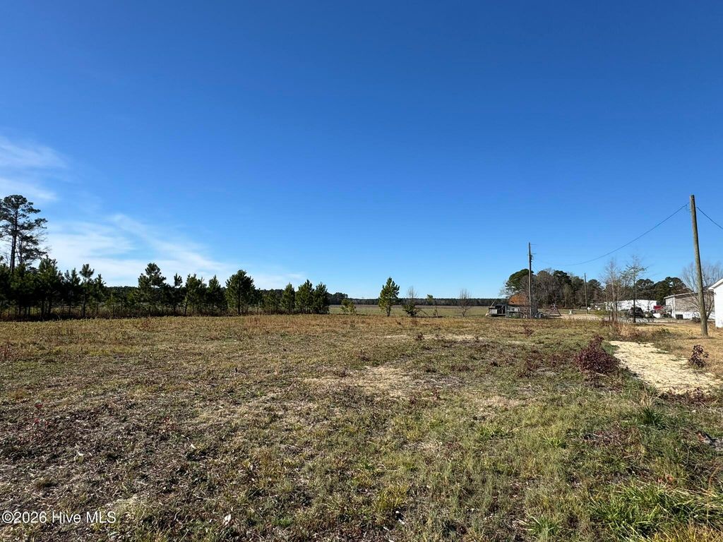 Photo of 000 Chinquapin Chapel Road, Trenton, NC 28585 (MLS # 100558830)