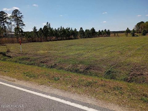 Vacant Land For Sale - 000 Chinquapin Chapel Road<br/> Jones County, Trenton, NC 28585