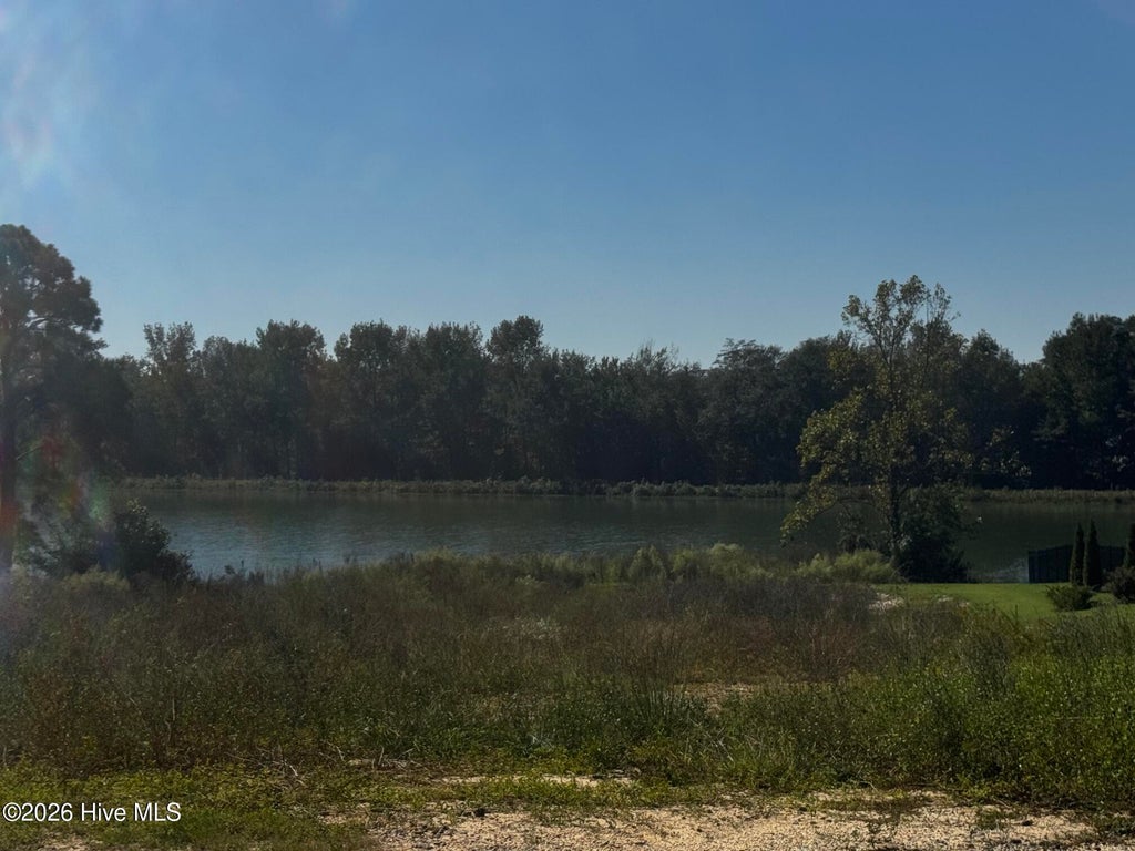 Photo of 20 Deer Track Drive, Clinton, NC 28328 (MLS # 100610555)