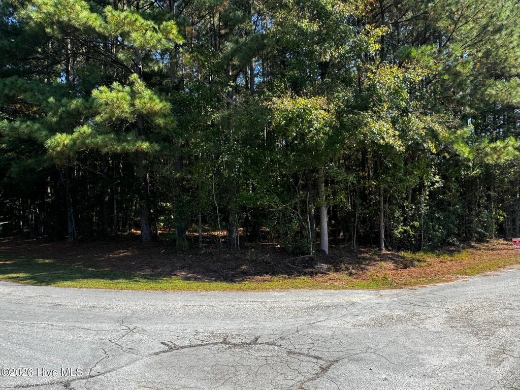 Photo of 20 Deer Track Drive, Clinton, NC 28328 (MLS # 100610555)