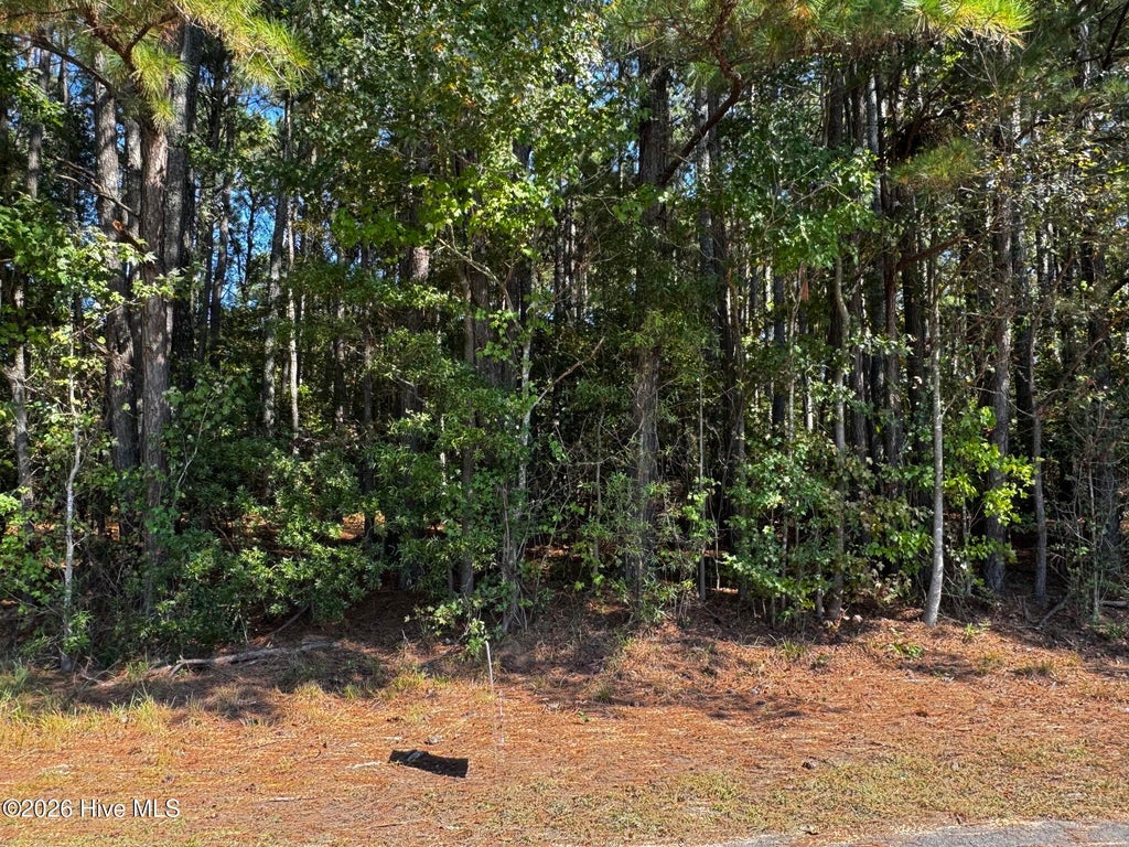 Photo of 20 Deer Track Drive, Clinton, NC 28328 (MLS # 100610555)