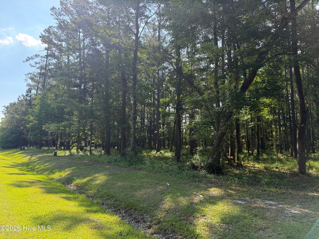 Photo of 221 Bridgewater Drive, Beaufort, NC 28516 (MLS # 100574990)
