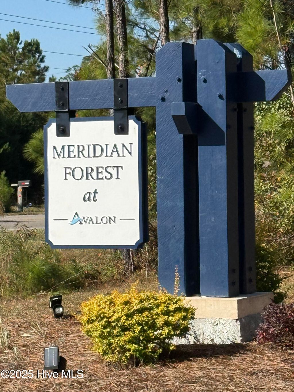 Photo of 1613 Meridian Forest Drive SE, Bolivia, NC 28422 (MLS # 100539995)