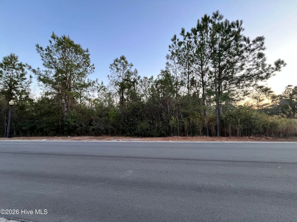 Photo of 2961 Old Berwick Street SW, Shallotte, NC 28470 (MLS # 100551375)