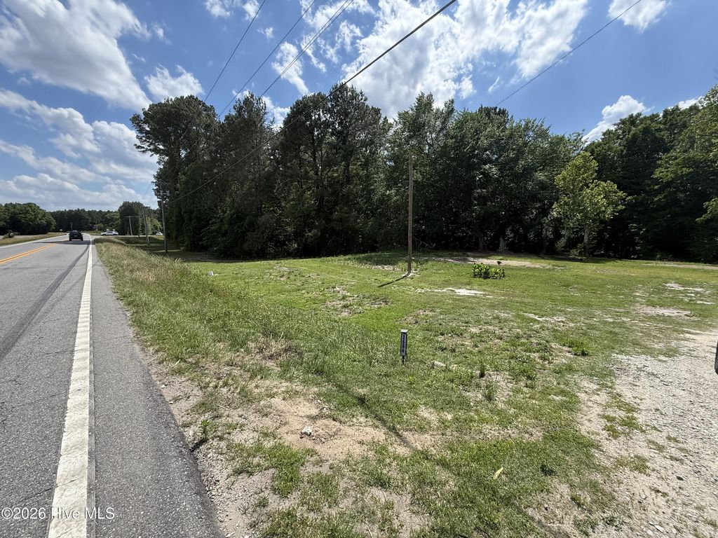 Photo of 2684 Carolina Highway 111 Hwy S, Seven Springs, NC 28578 (MLS # 100574205)