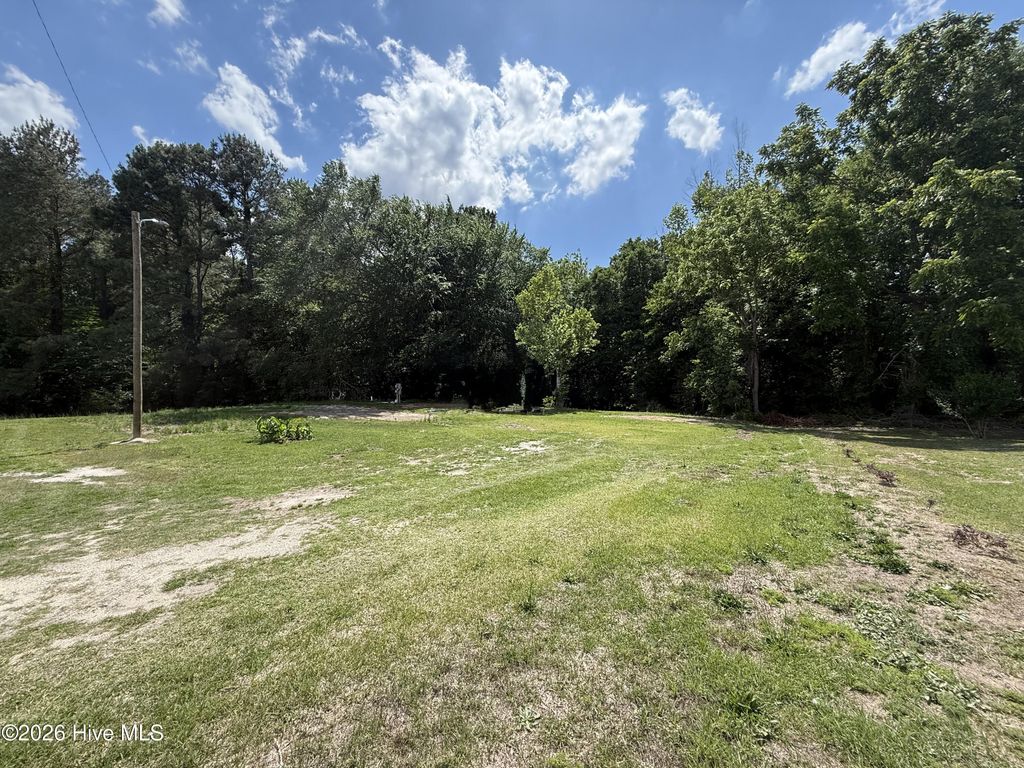 Photo of 2684 Carolina Highway 111 Hwy S, Seven Springs, NC 28578 (MLS # 100574205)