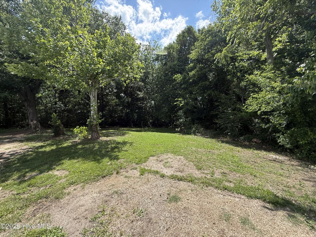 Photo of 2684 Carolina Highway 111 Hwy S, Seven Springs, NC 28578 (MLS # 100574205)