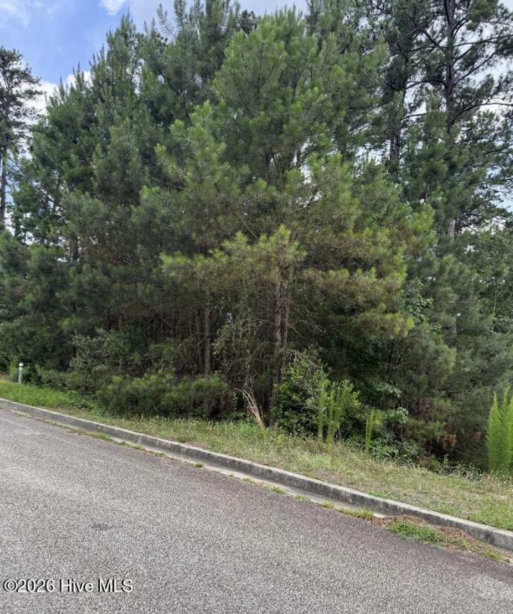 Photo of 3946 Carolyn Street, Augusta, GA 30909 (MLS # 100580829)