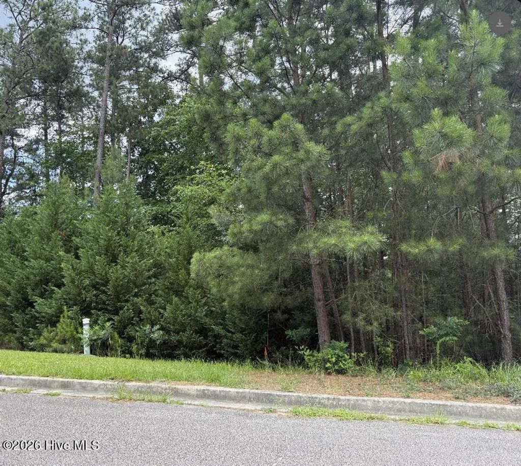 Photo of 3946 Carolyn Street, Augusta, GA 30909 (MLS # 100580829)