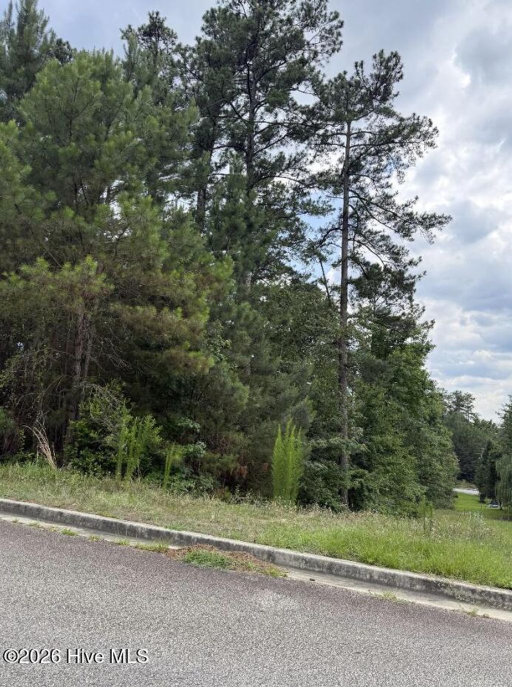 Photo of 3946 Carolyn Street, Augusta, GA 30909 (MLS # 100580829)